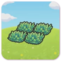 Hautes herbes vertes