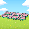 Champ de fleurs