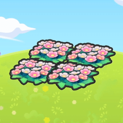 Parterre de fleurs en altitude