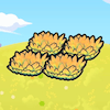 Hautes herbes jaunes en altitude