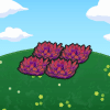 Hautes herbes rouges