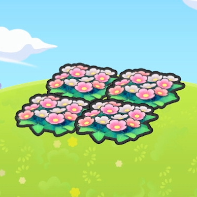 Parterre de fleurs en altitude